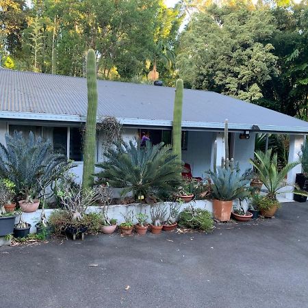 Ancient Gardens Guesthouse&Botanical Gardens Eudlo Exterior foto